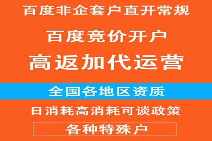 百度搜索推广实战技巧：成功案例背后的秘密